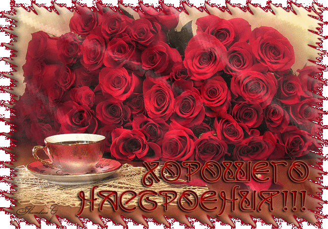 18369738.gif (800×559)