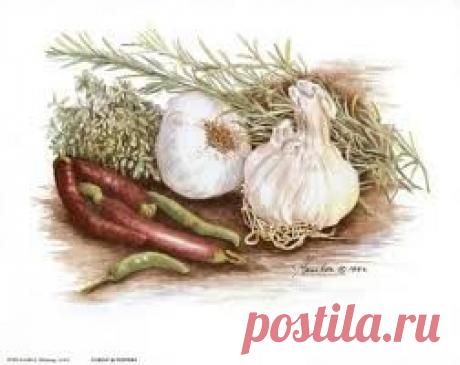 картинки для декупажа раки - Поиск в Google