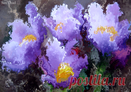 San Chad * Черных А.Д.