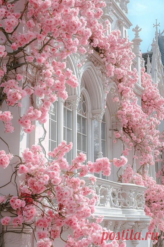 (33) Pinterest