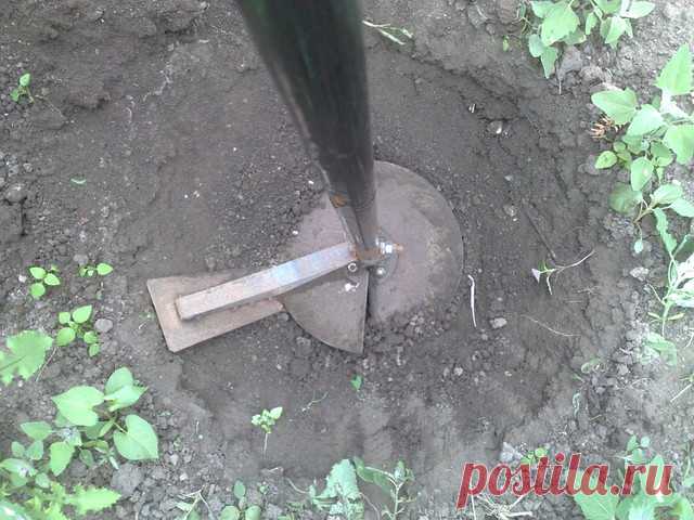 Сезонные работы в саду: Июнь.