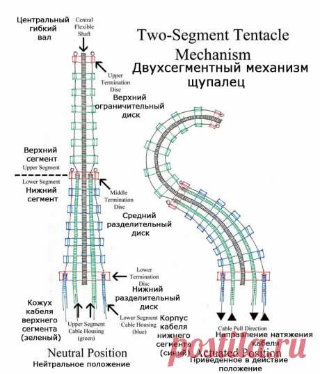 Щупальца