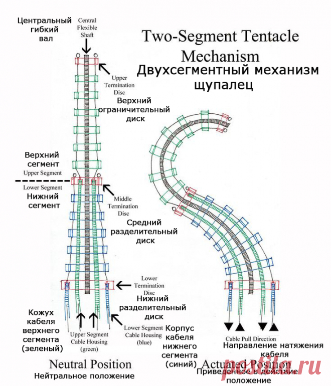 Щупальца