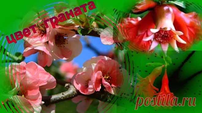 Смотри на мир счастливыми глазами!