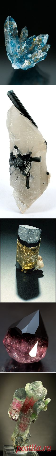 (66) в pinterest • каталог мира идей