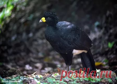 страницы которые создавались константина валерьевича сосницкого краснодар: 10 тыс изображений найдено в Яндекс.Картинках