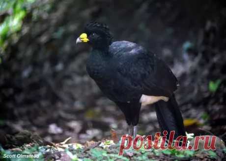 страницы которые создавались константина валерьевича сосницкого краснодар: 10 тыс изображений найдено в Яндекс.Картинках