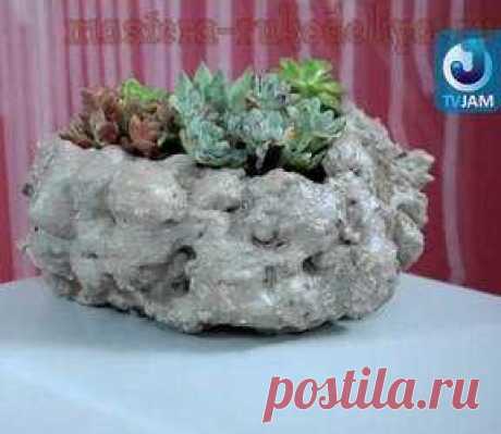 Живые цветы