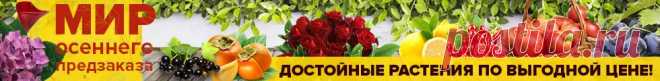 Семена томатов, помидоров для открытого грунта, теплиц - купить в Одессе, Киеве, Украине от Agro-Market
