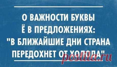 Подборка метких, смешных и колких выражений о нашей с вами жизни! Позитивный настрой — то, что сделает даже самый серый день настоящим праздником.