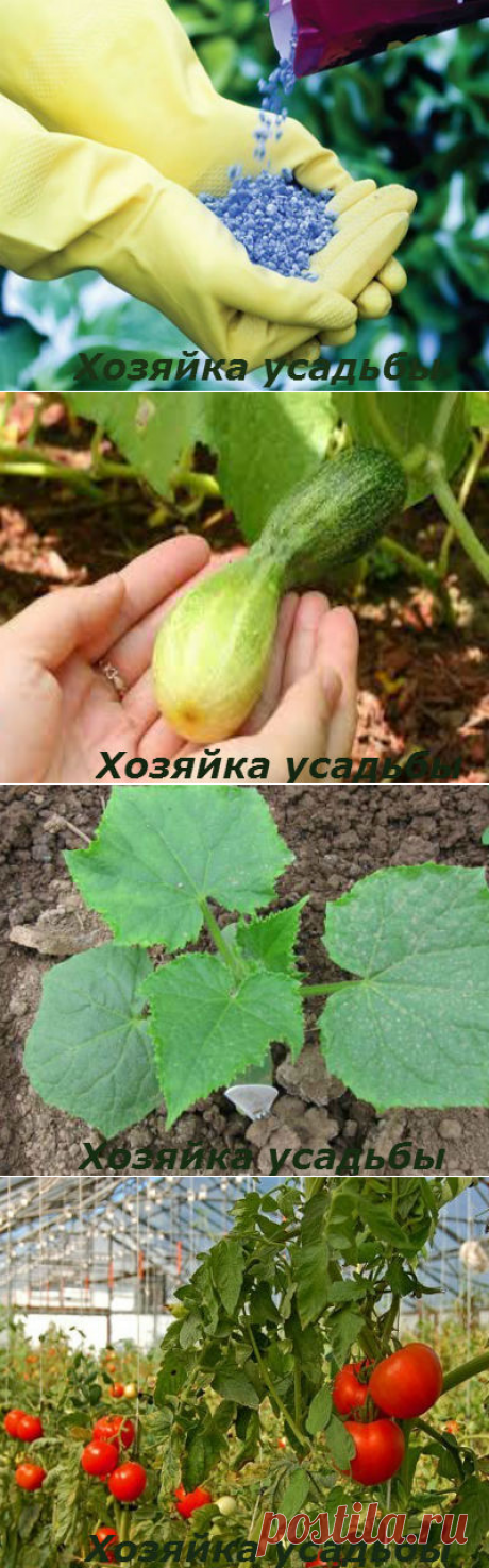Калийные удобрения, применение для овощей и цветов.