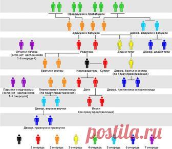 Наследники первой очереди и их права | Правовед.RU | Яндекс Дзен