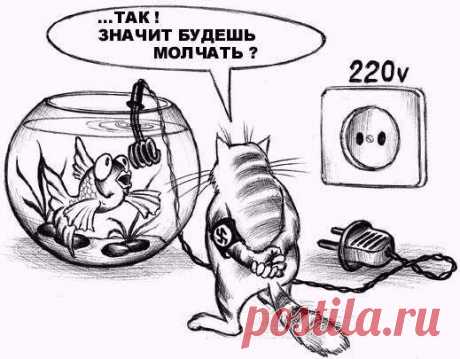 Свежая порция анекдотов! Улыбнись-ка :) | Сайт Союза Юмористов