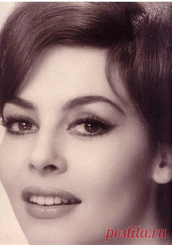 Невероятно красивая женщина, идеал женской красоты и обаяния, смотришь на нее, как на прекрасный цветок и не можешь насмотреться.

Мишель Мерсье по праву входит в десятку самых красивых женщин всех времен и народов. Сколько бы не было прекраснейших девушек в мире, таких как Мишель Мерсье больше не существует. Идеал красоты, несмотря на то, что вкусы меняются, но этот идеал остается на самом высочайшем пьедестале.