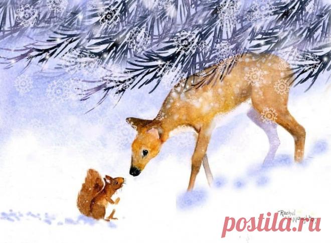 Нежные и трогательные акварели Rachel McNaughton