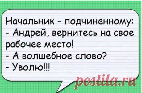 Под утро в круглосуточный цветочный магазинчик заходит интеллигентного вида мужичёк