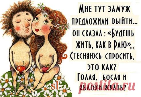 Уведомления