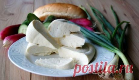 Брынза в домашних условиях | LS