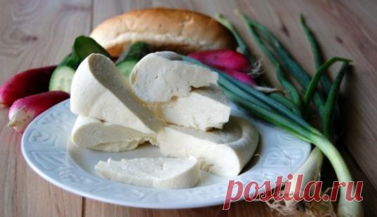 Брынза в домашних условиях | LS