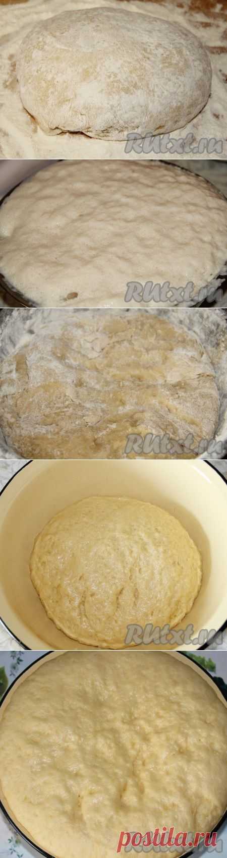 Рецепт приготовления опарного дрожжевого теста (рецепт с фото) | RUtxt.ru