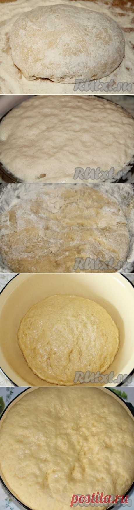 Рецепт приготовления опарного дрожжевого теста (рецепт с фото) | RUtxt.ru
