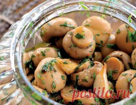 Шампиньоны в масляном маринаде без уксуса. Закуска, сшибающая с ног | Еда без труда | Яндекс Дзен