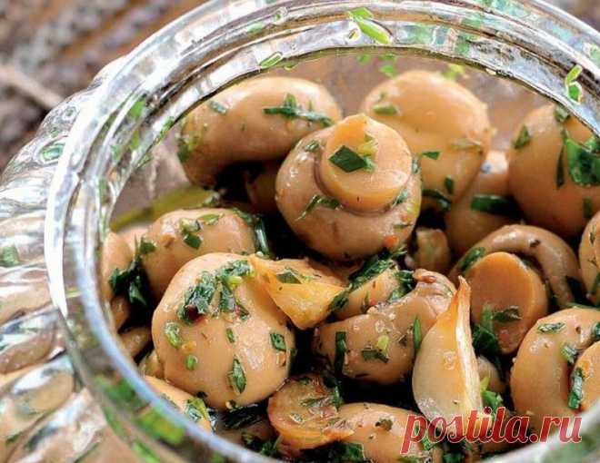 Шампиньоны в масляном маринаде без уксуса. Закуска, сшибающая с ног | Еда без труда | Яндекс Дзен