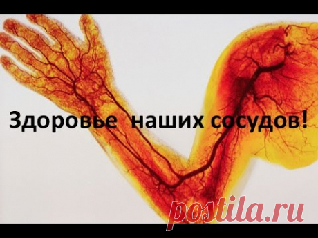 Здоровье наших сосудов