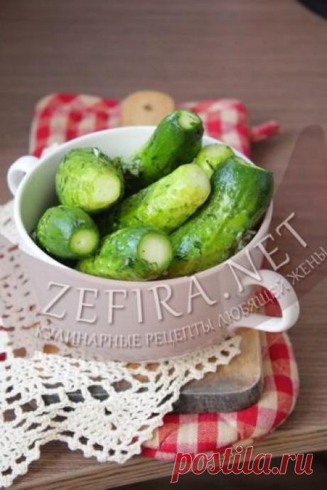 Малосольные огурцы в минералке – Кулинарные рецепты любящей жены