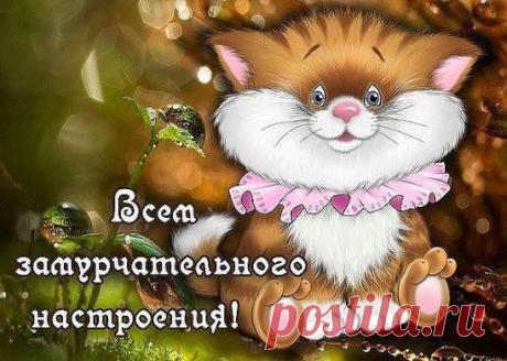 * * * * * * * * * * * *