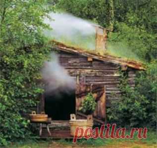 Польза русской бани в не старении организма человека.