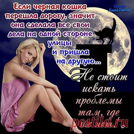 Если черная кошка перешла дорогу.....