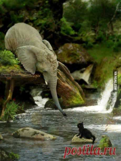 9GAG - Just for Fun! | We Heart It
