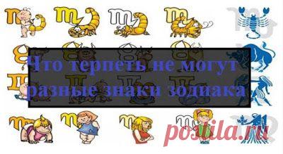 10 вещей, которые раздражают каждого знака зодиака. Ну, прямо с меня списано! 10 из 10 скорпионы...