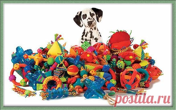Игрушки пищалки для собак >>>