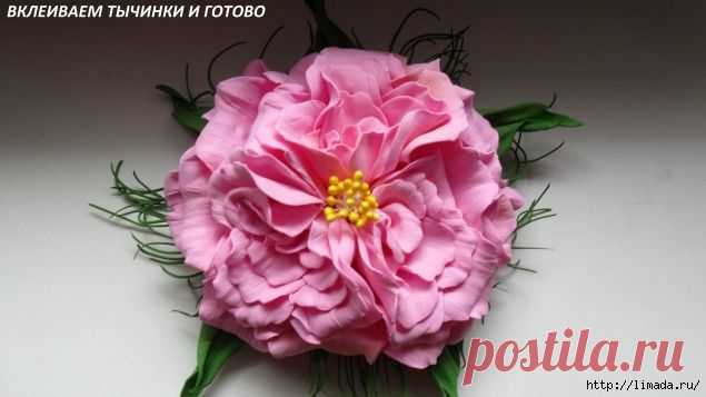 чайная роза