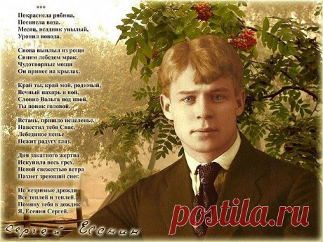 (99) Одноклассники