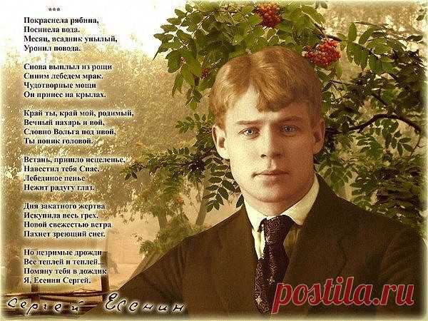(99) Одноклассники