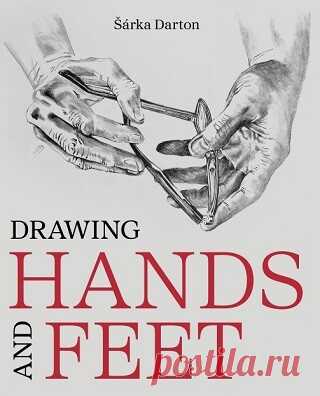 Drawing Hands and Feet 2024