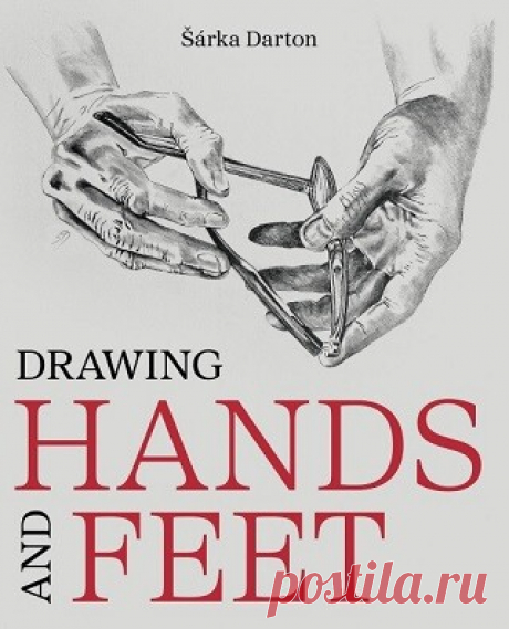 Drawing Hands and Feet 2024