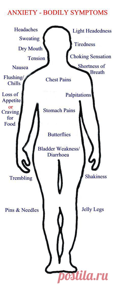 Найдено на сайте paradigmmalibu.com.