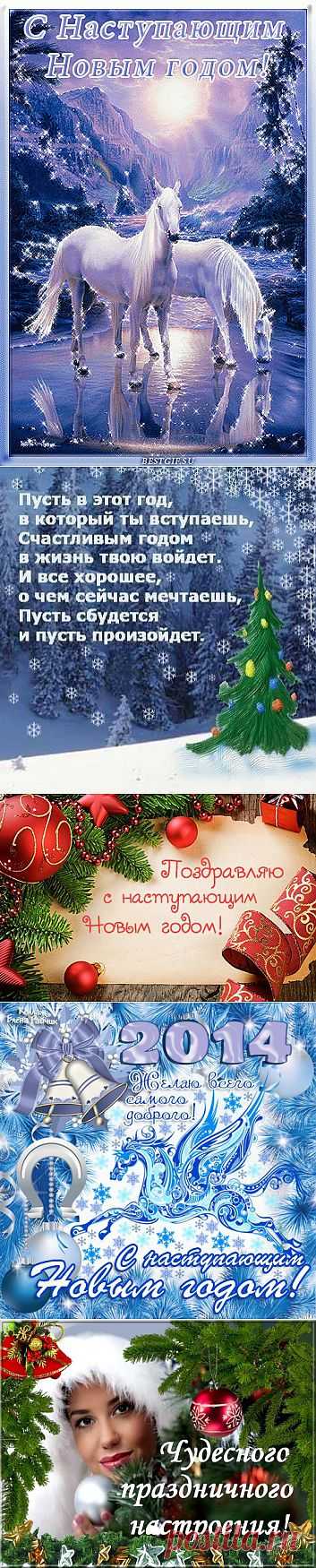 Вера Гейнц