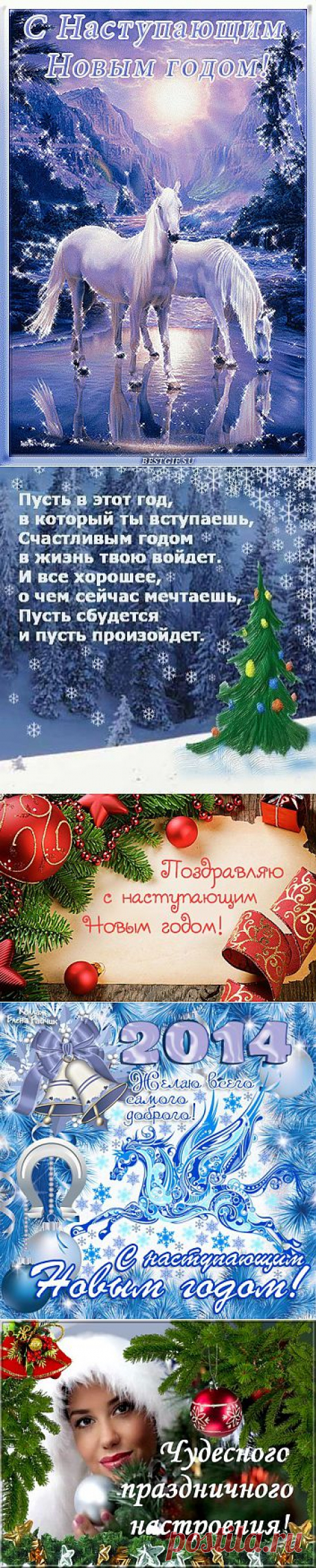 Вера Гейнц