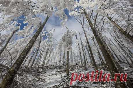9 фото словенской горы после экстремальной снежной вьюги