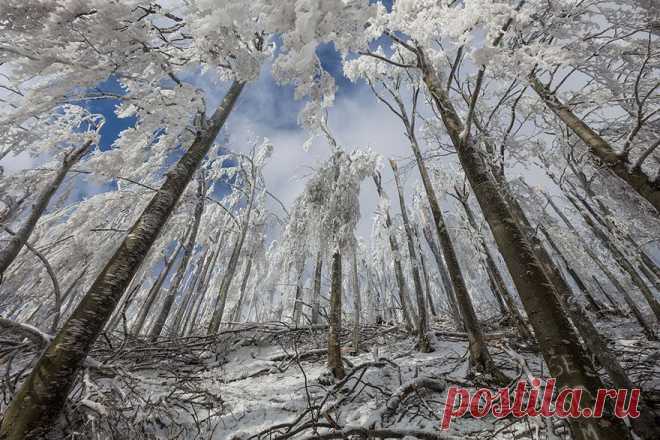 9 фото словенской горы после экстремальной снежной вьюги
