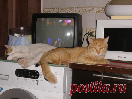 фильм