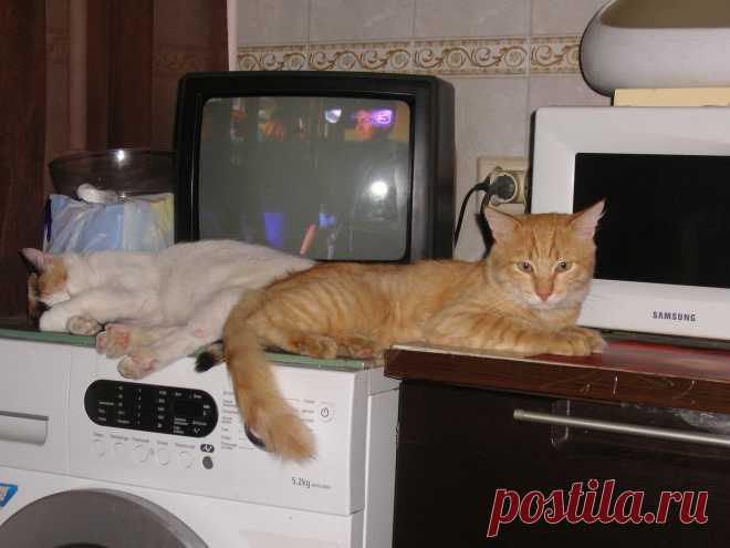 фильм
