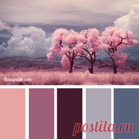 Pinterest: scopri e salva idee creative