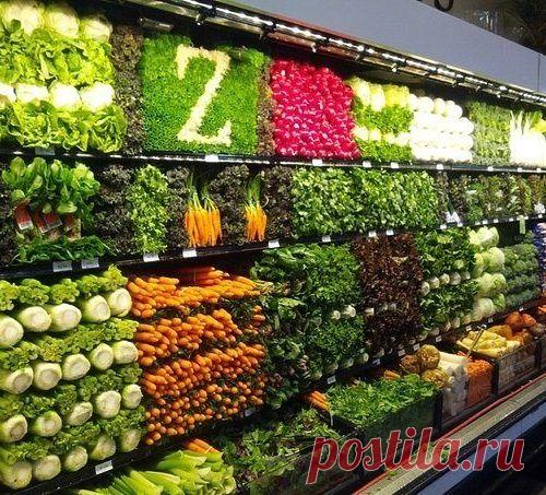 Антирак: 4 известных доктора о лечении и профилактике онкологических заболеваний