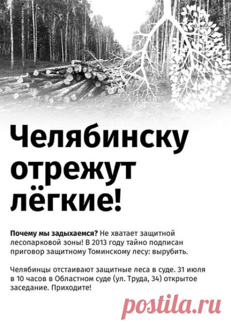 НУЖНА ПОМОЩЬ! РАСПРОСТРАНЯЕМ ЛИСТОВКИ!!
Распечатайте листовки А6 или А5 формата - разнесите по знакомым, разложите по почтовым ящикам, положите под дворники автомобилей!
Разошлите листовку по соцсетям, по емайлам знакомых!
Надо максимально информировать людей о реальной опасности от захватчиков РМК, которые начали уничтожать Томинские леса, легкие нашего города!
Надо достучаться до тех, кто верит 31 каналу.
Надо показать людям, что РМК нагло врет на каждом шагу и звать люд...